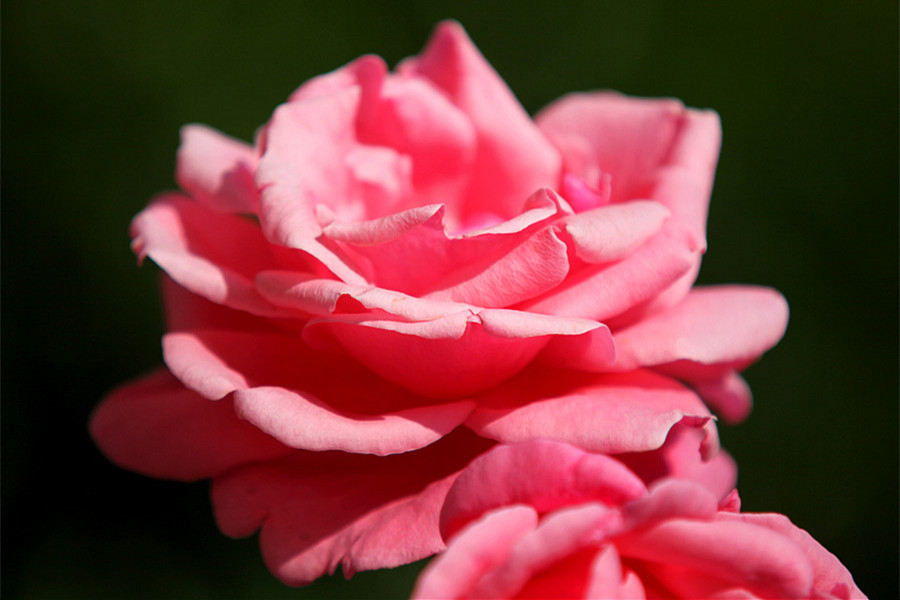 ��Ƭ 305_����.jpg