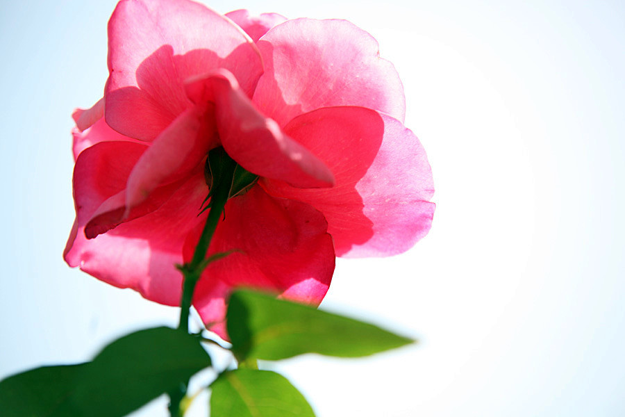 ��Ƭ 314_����.jpg