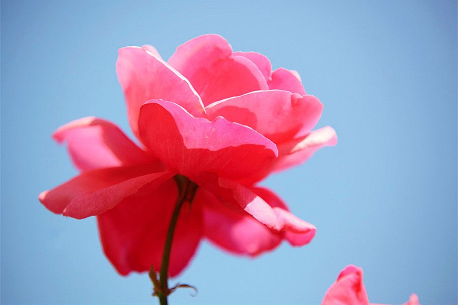 ��Ƭ 306_����.jpg