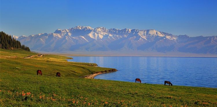 ��ɽ������������