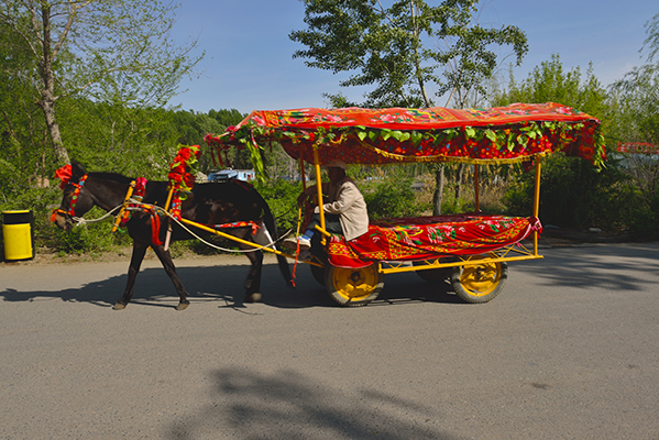 ���Ҹ�����