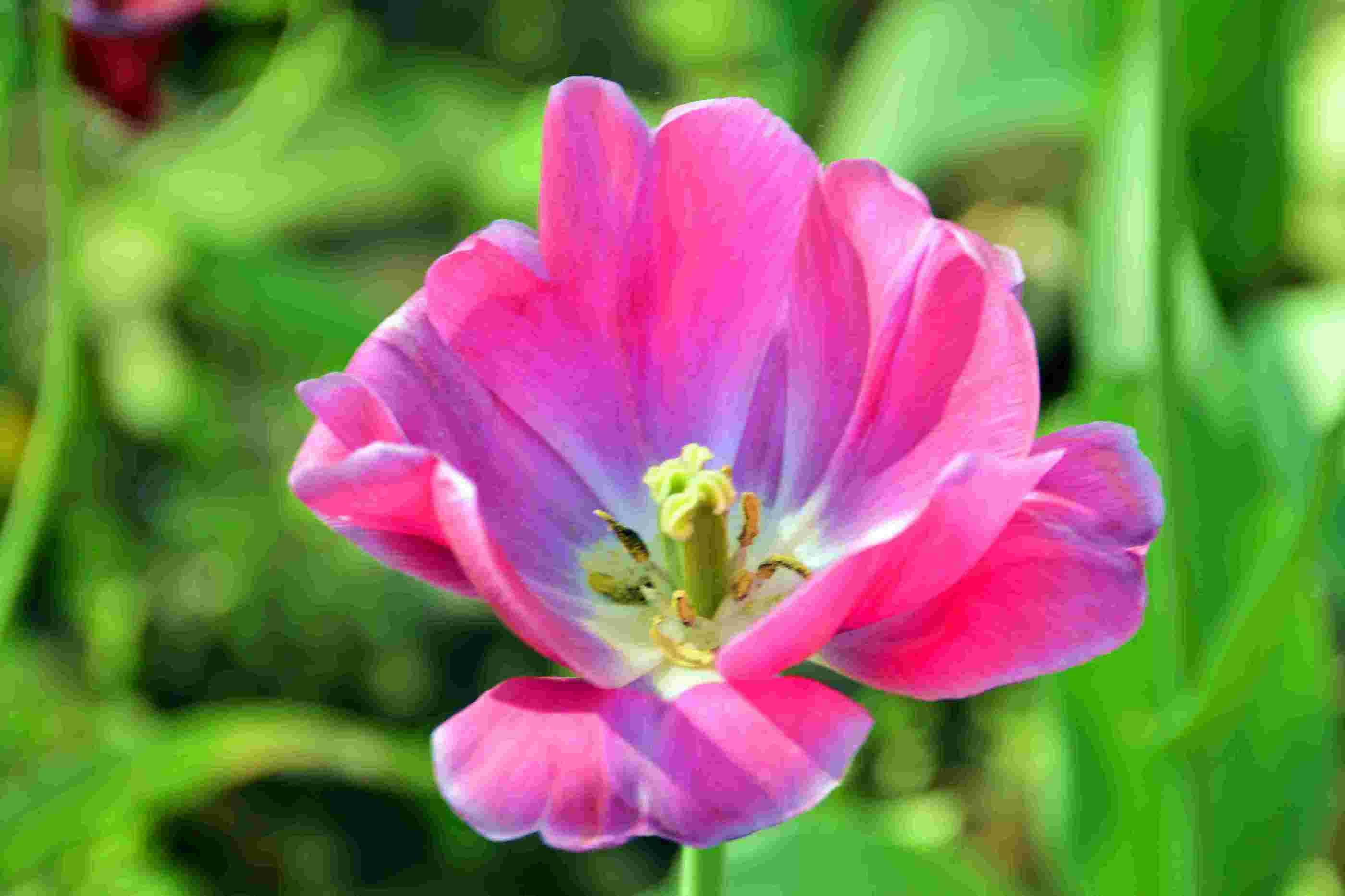 nEO_IMG__����������԰һ����DSC9546 (190).jpg