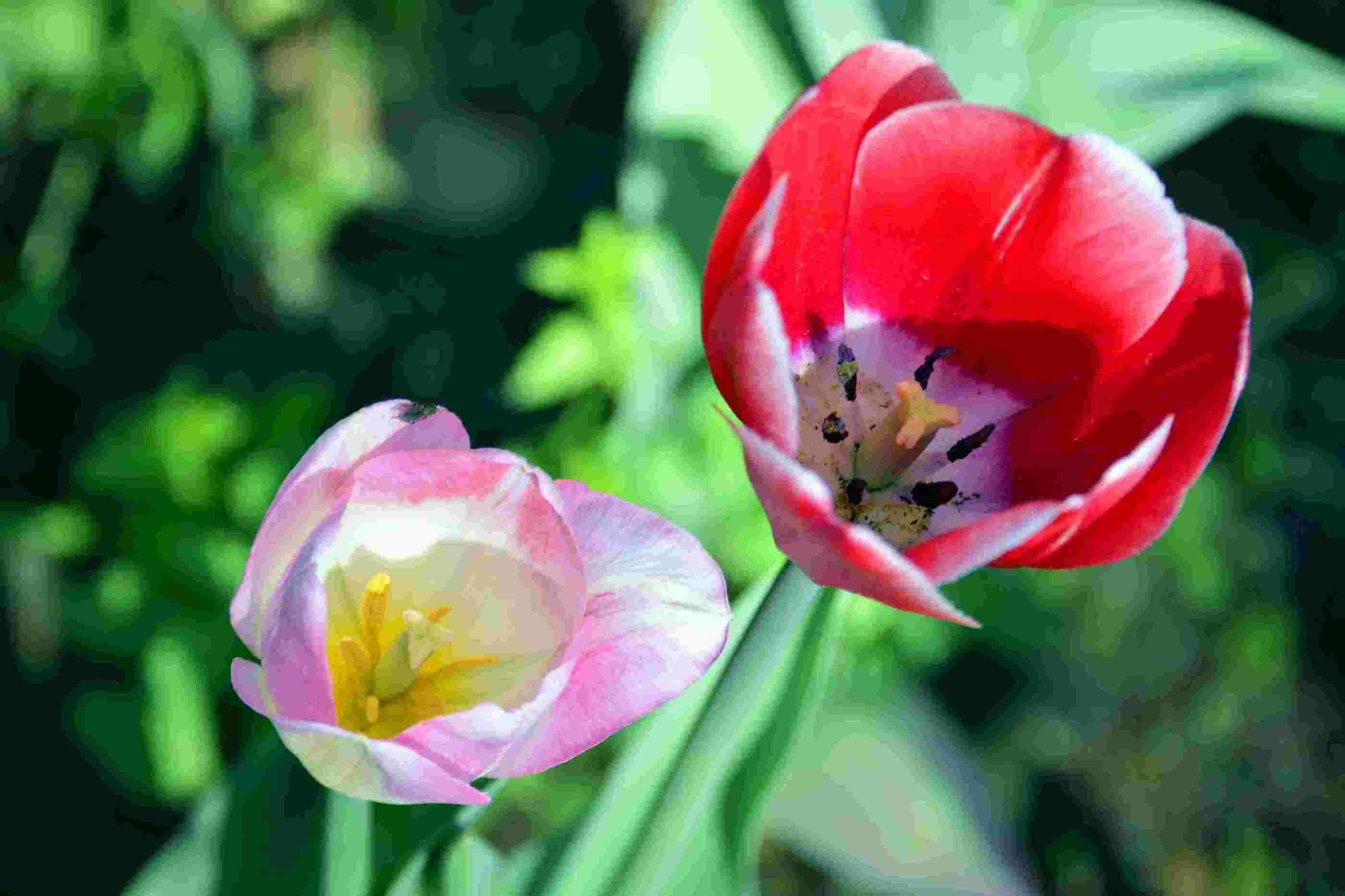 nEO_IMG__����������԰һ����DSC9546 (196).jpg