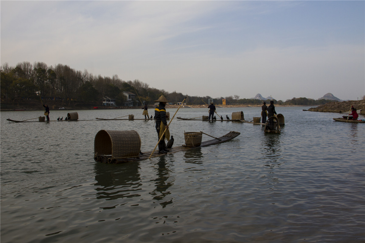 ������ (3).jpg