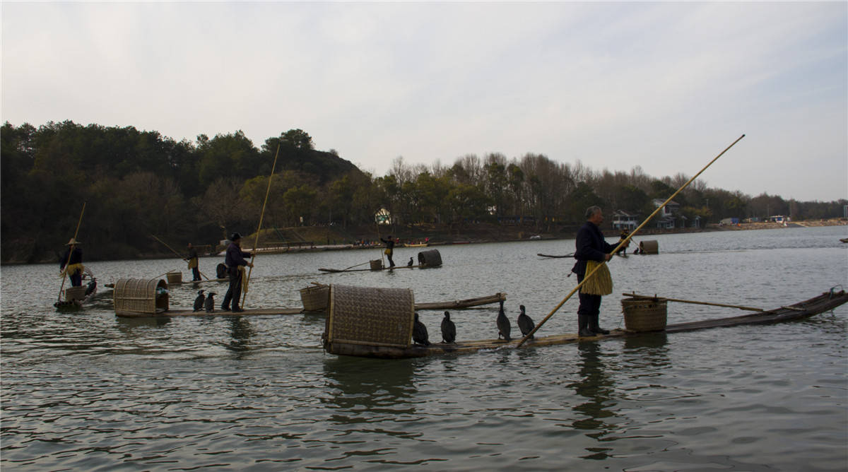 ������ (1).jpg