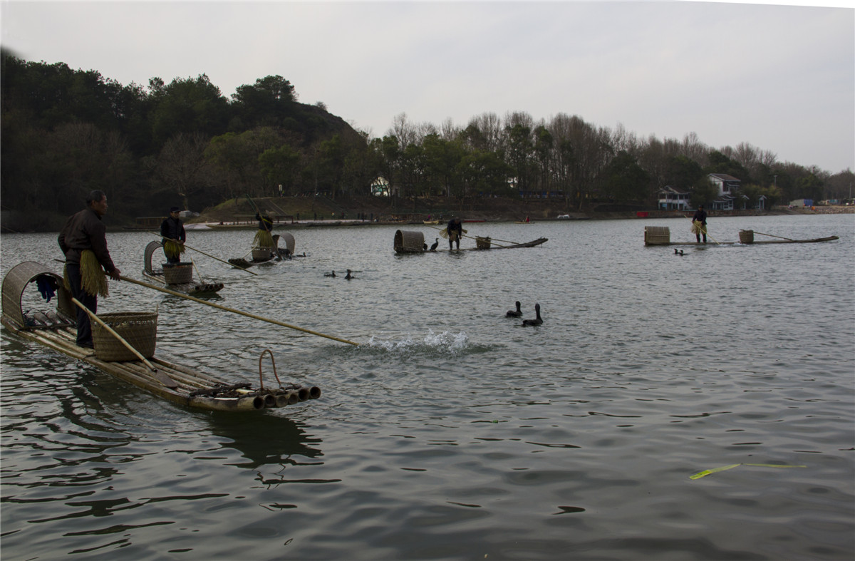 ������ (2).jpg