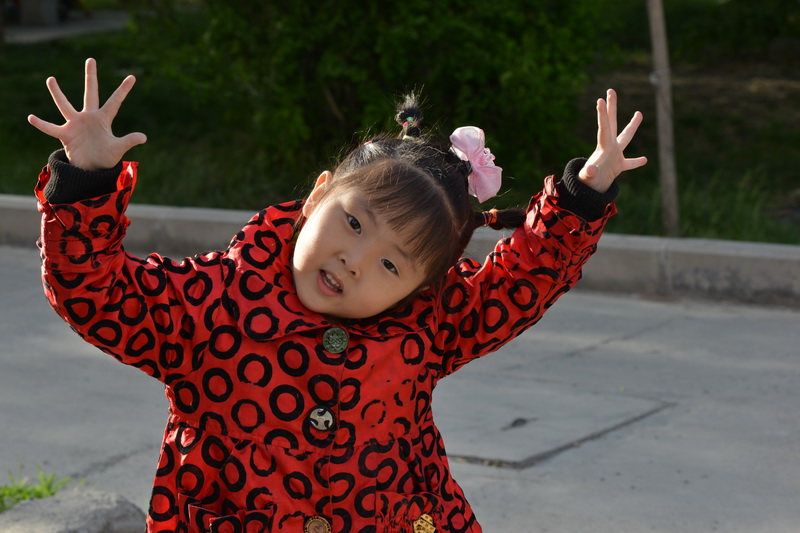 ����   ������