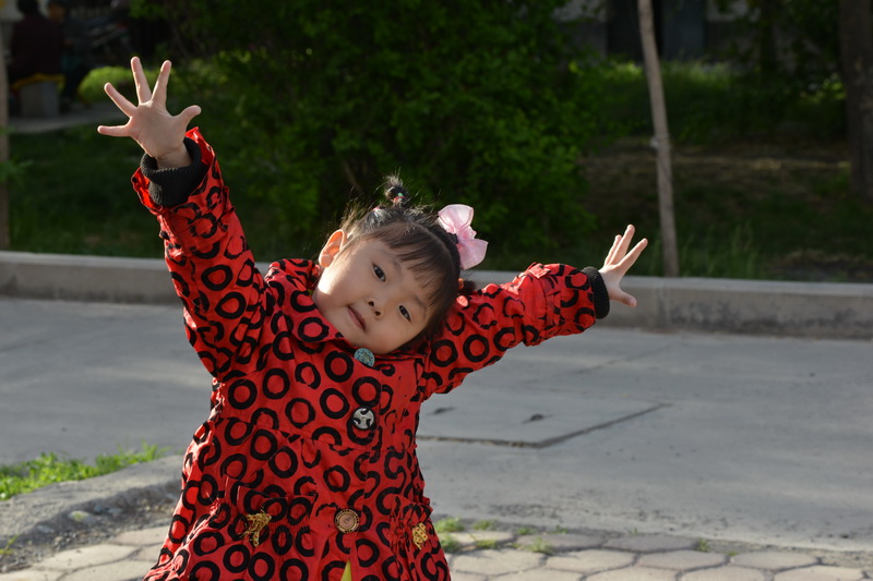 ����   ������