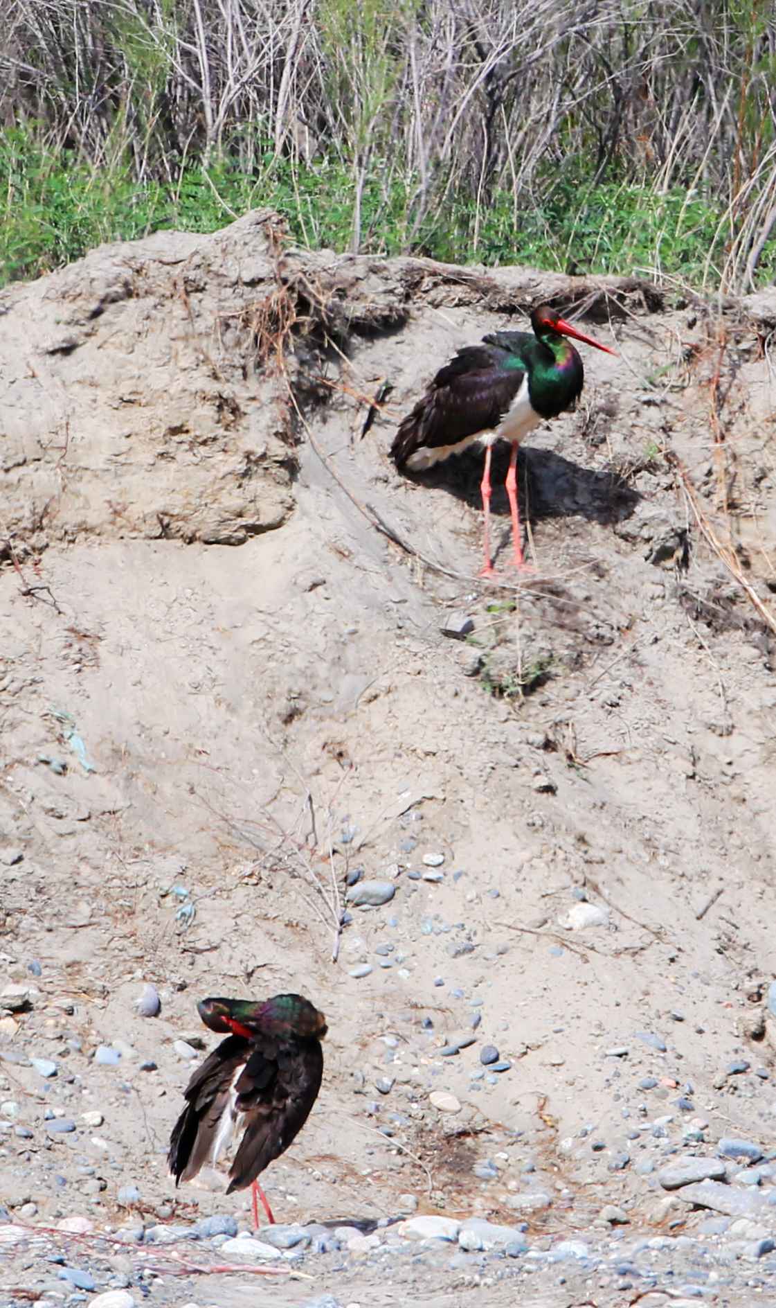 2014_05_11_IMG_2761_����  ˫.jpg