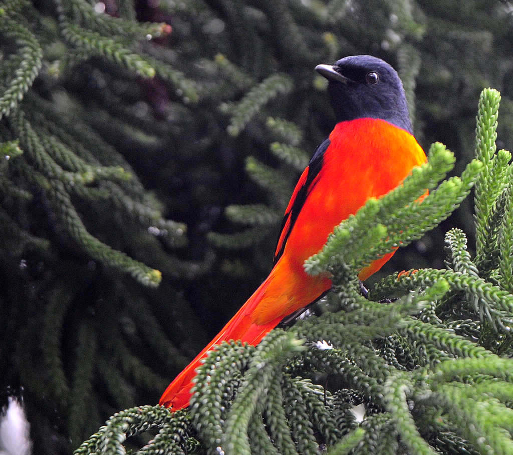 6���ɽ����C_0744  22.jpg