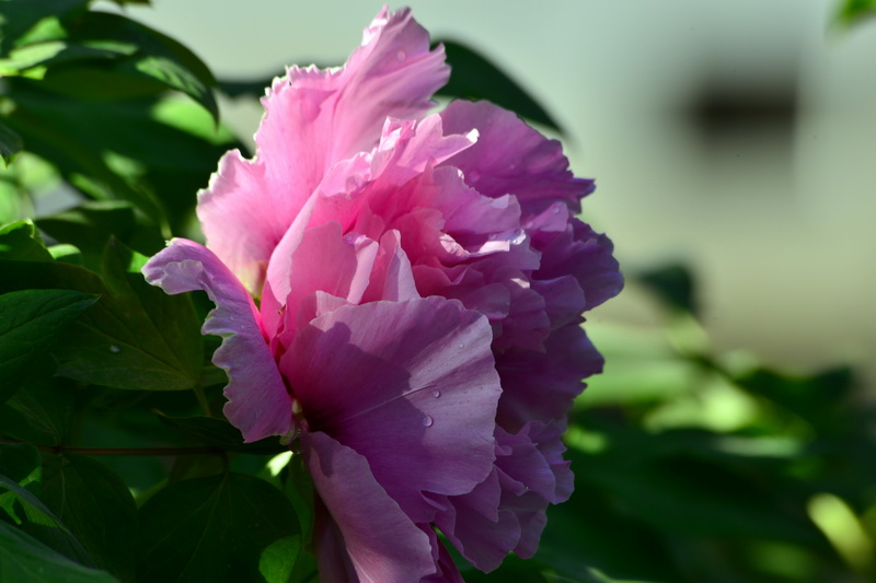 ��   ������