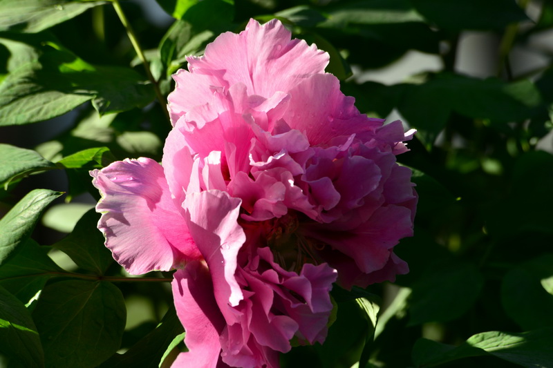 ��   ������