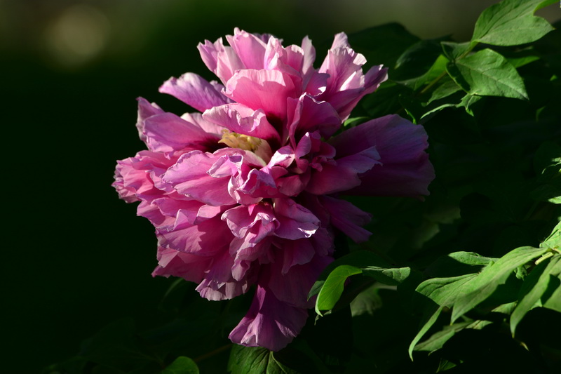 ��  ������