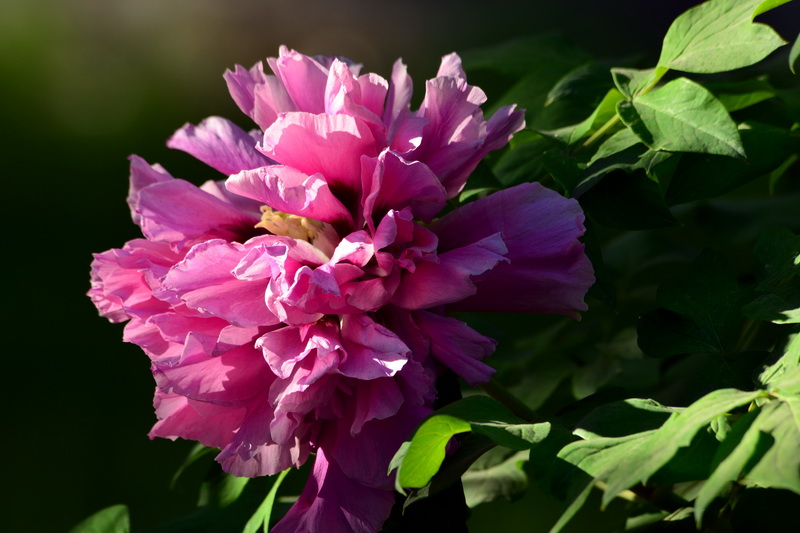 ��   ������