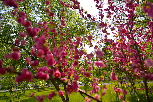 ����̺�ʯ����