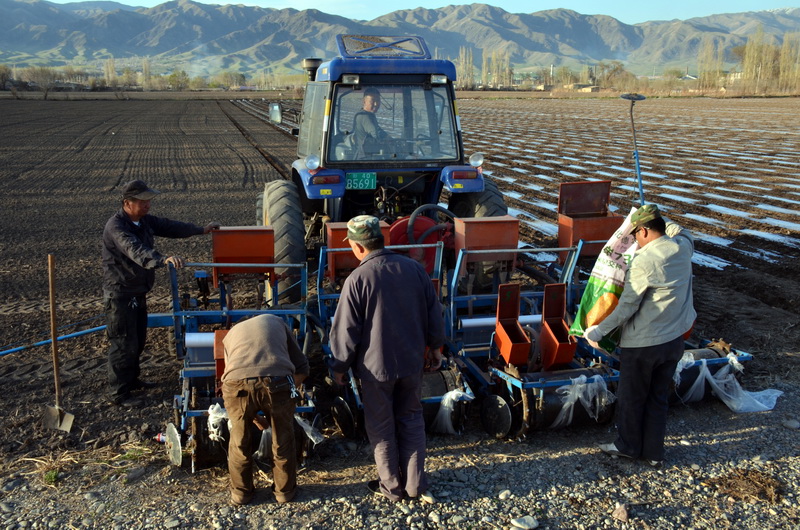 ������  ������