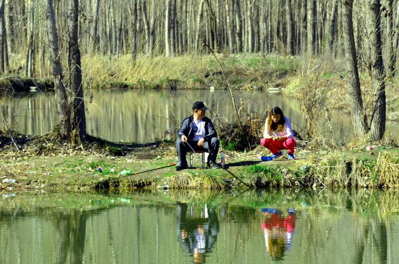 ����   ������