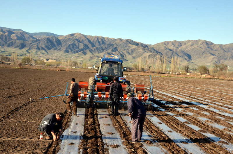 ��   ������