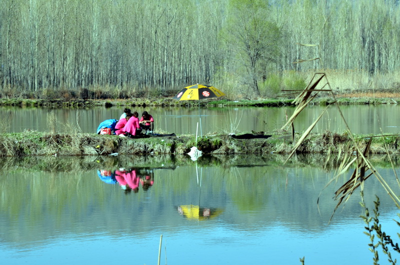 ˮ����  ������