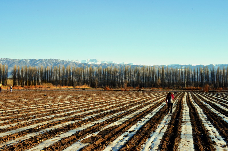 �����  ������