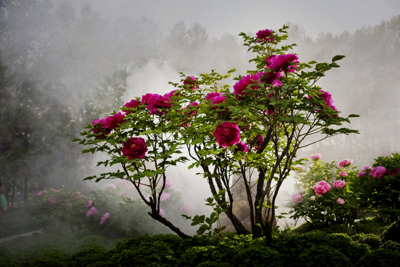 ����Ч�� ���꽨 13503793366.jpg