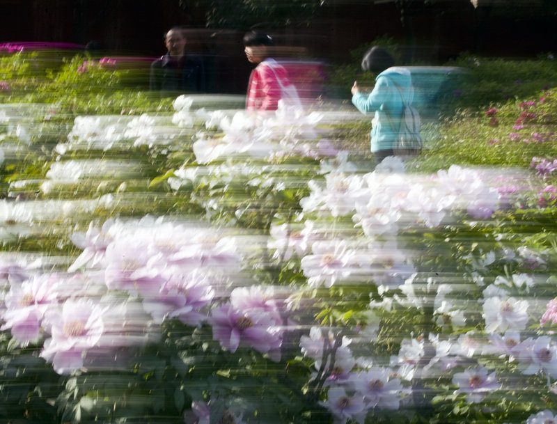 �ζ���ͷЧ�� ���꽨 13503793366.jpg