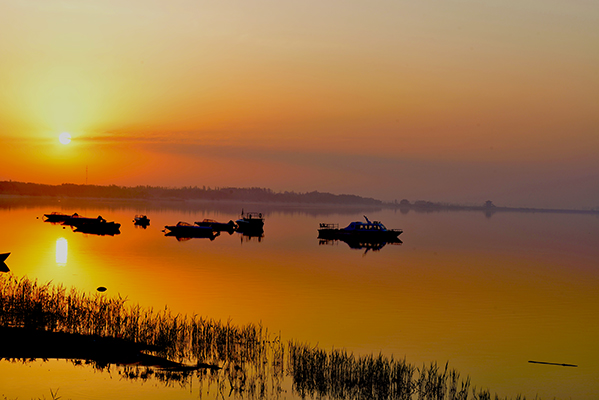 ���׵������