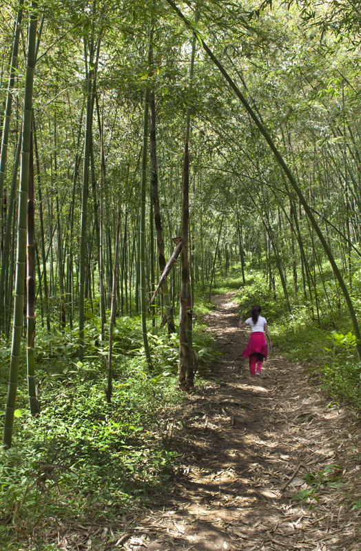 1��������Ѱ��