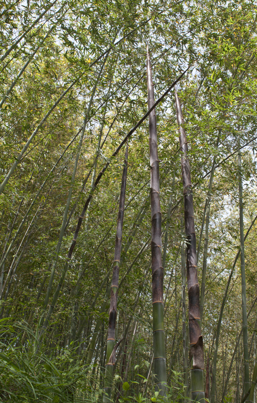 2�����ж�������ж��