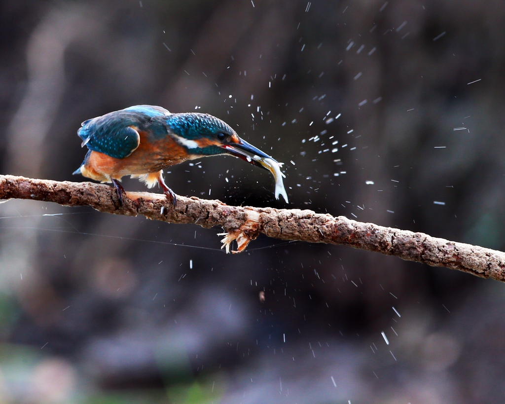 A-3  ��������.jpg