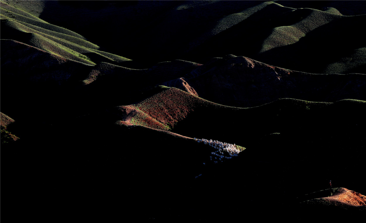 ���� (2).jpg