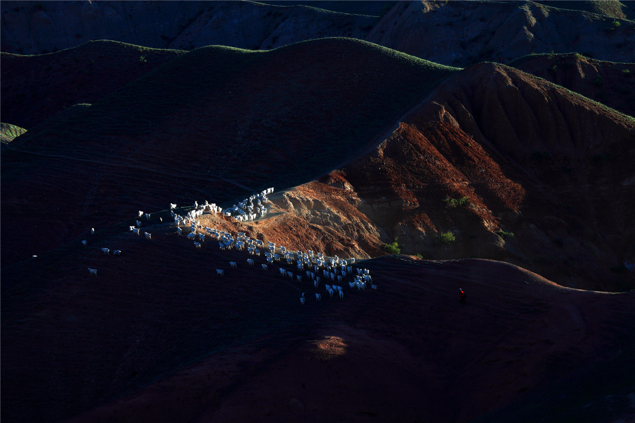 ���� (1).jpg