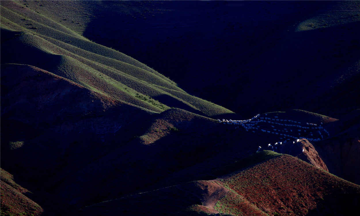 ���� (3).jpg