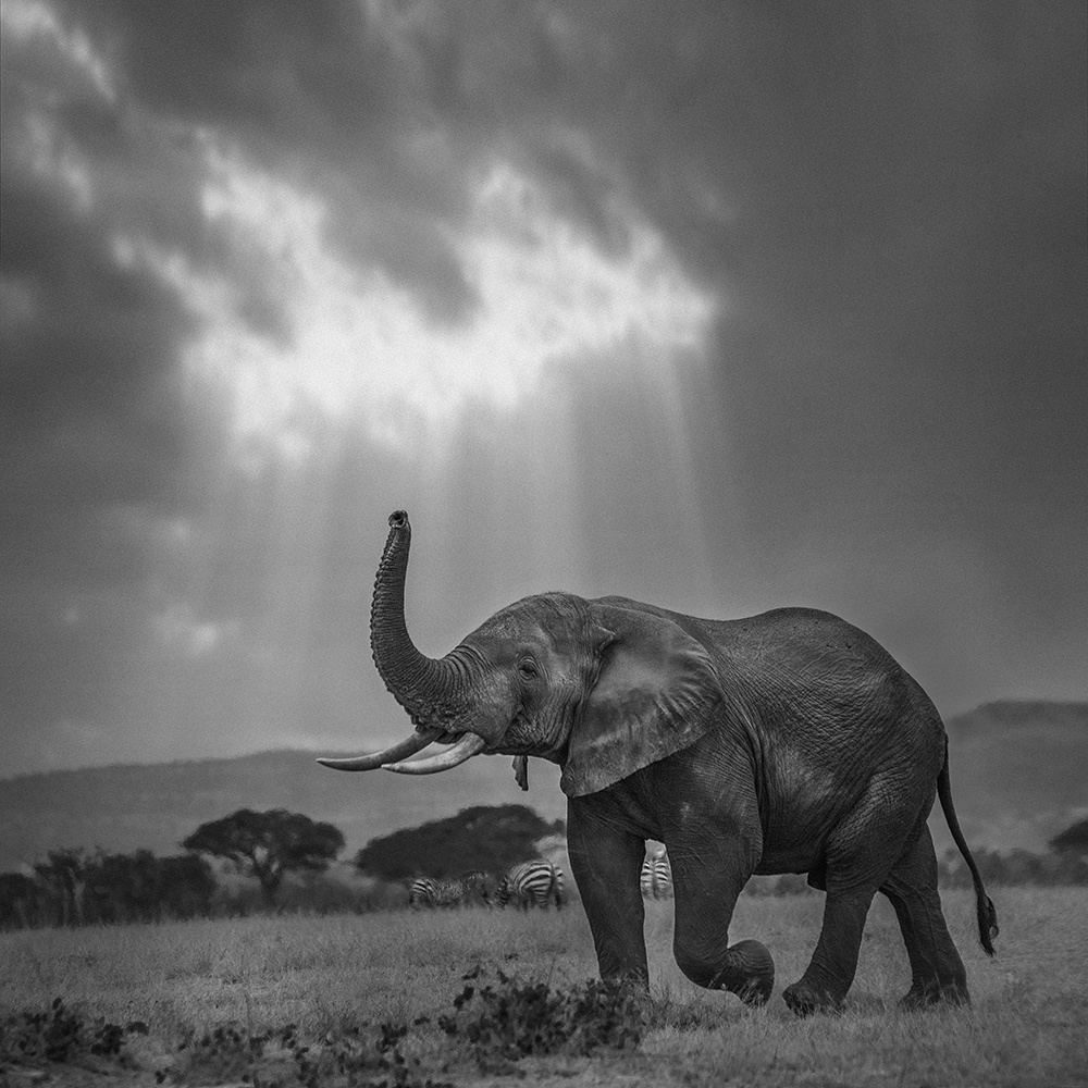 Զ�ŵĺ��� ����ƽ 18636369595.jpg