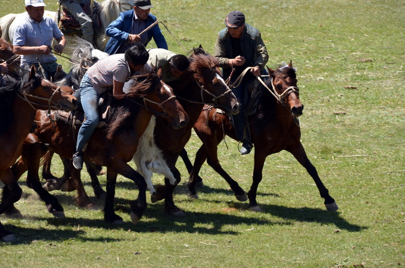 ��    ������