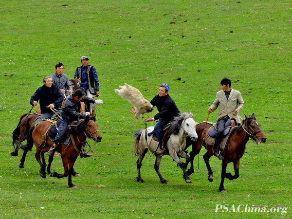 01.��ԾJPS CM����Ʒ���������˵���3��Kazakh grab sheep3.jpg