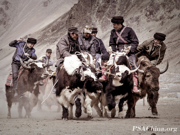 05.�޾���Ʒ�������ҡ�Competitive play.jpg