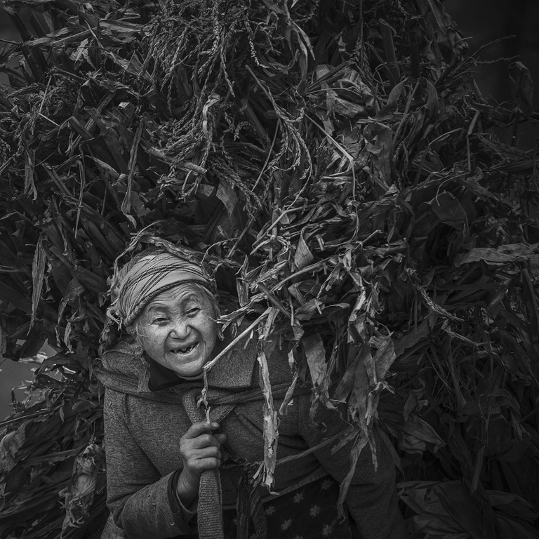 3 IPAͭ����ĸ�׵ļ����̫�����й���.jpg