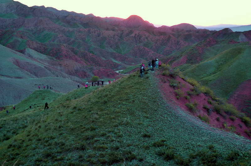 ����   ������