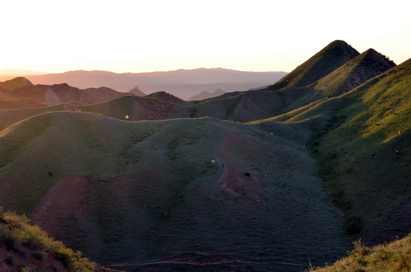 ɽ��    ������