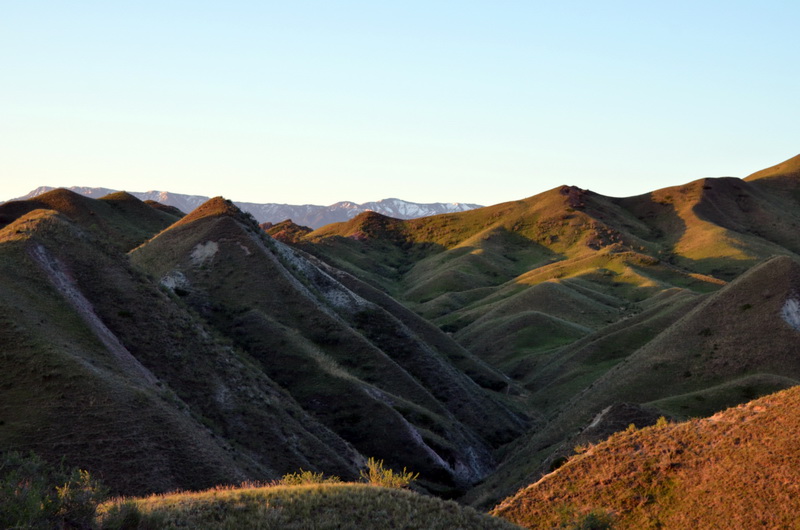 ����    ������