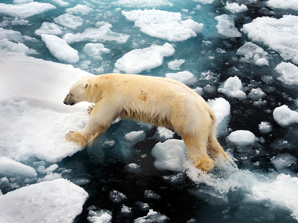 2 IPA��Ȼ��������������Koepf AchimEFIAP-g���¹���.jpg