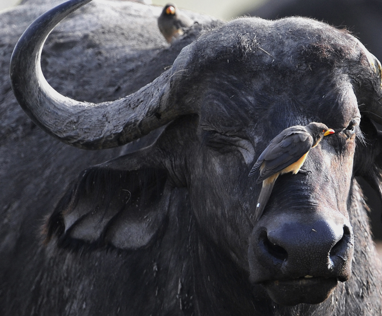 3 IPA��Ȼ��ͭ����Ϸ��ţ�����¿��ܣ��й���.JPG