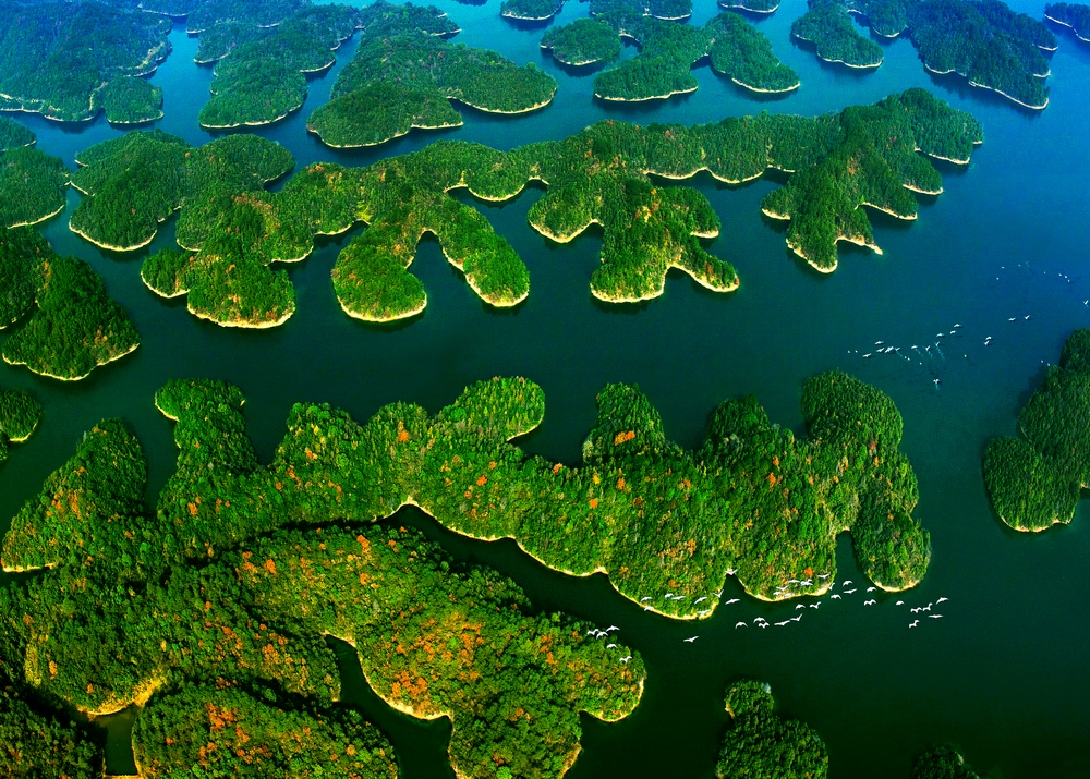 4 IPA��Ȼ��ѫ���������е��������죨�й���.jpg