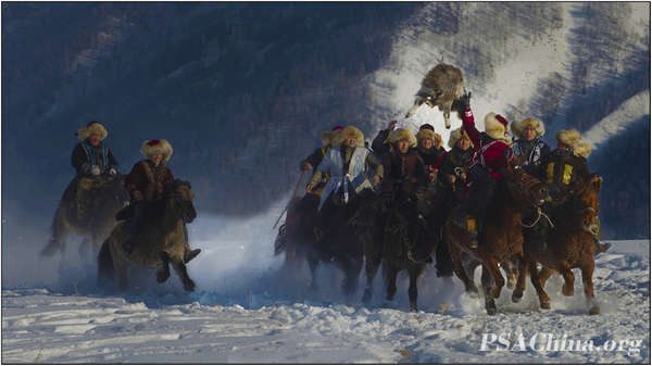 01.����PSA������Ʒ������������Diaoyang race.jpg