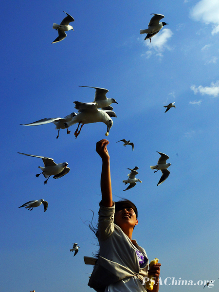 07.��Ծ����ͬ��һ������The same planet.jpg