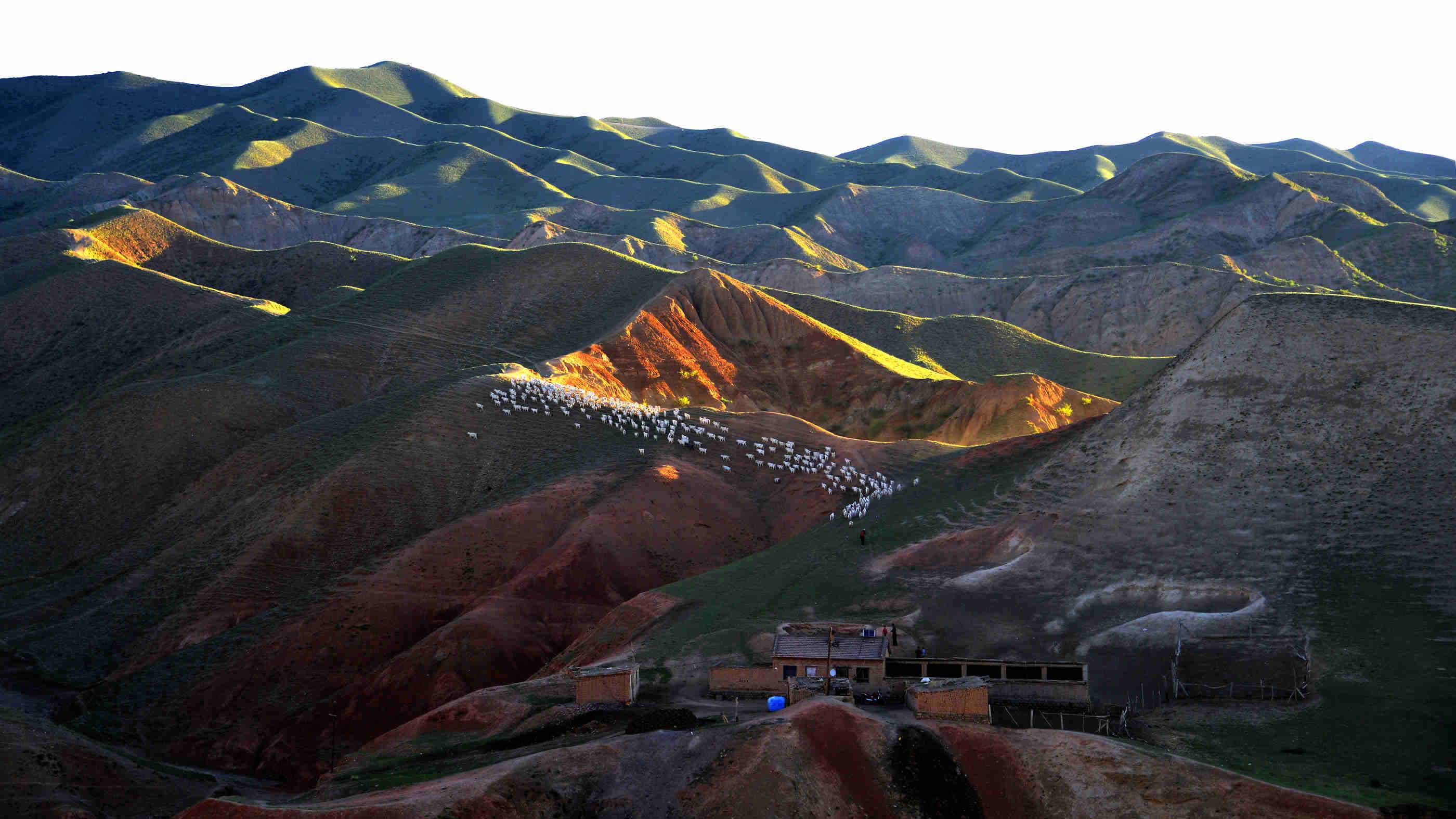 _DSC0019 - ����.jpg