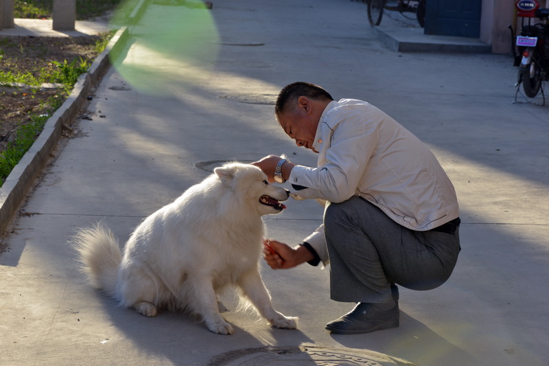 ��   ������