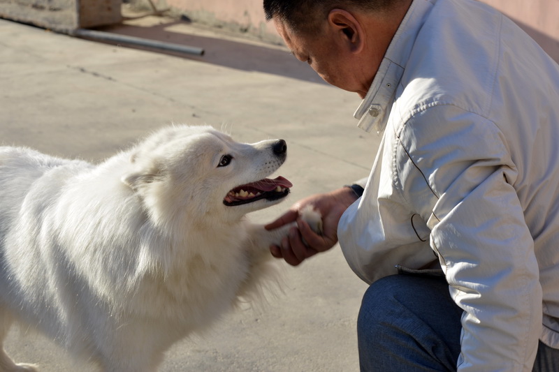 ����    ������