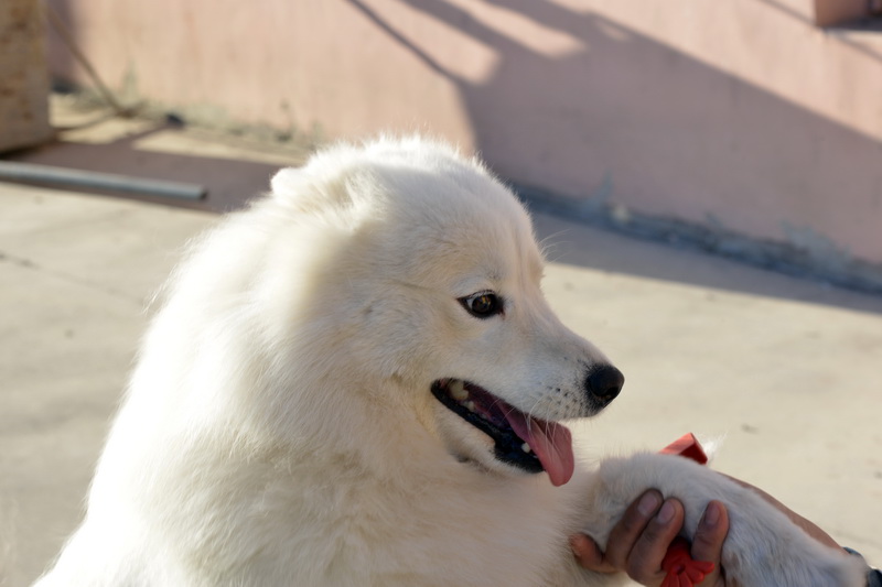 ����    ������